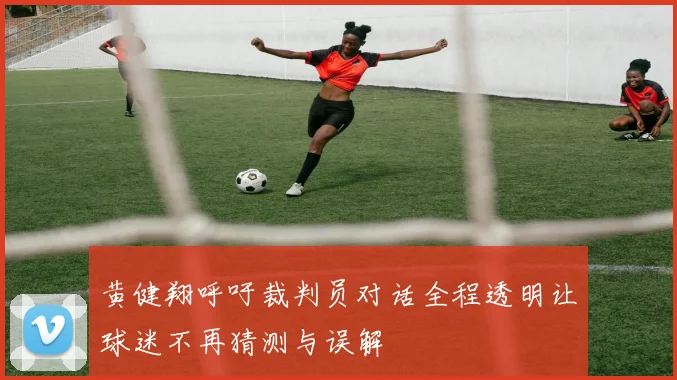 黄健翔呼吁裁判员对话全程透明让球迷不再猜测与误解